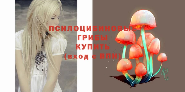 метадон Богородицк