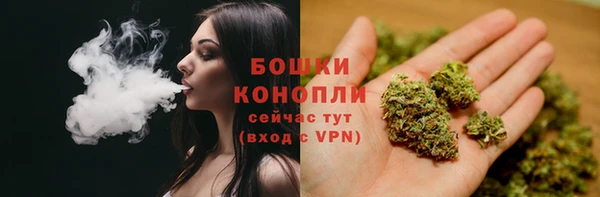 амф Богородск